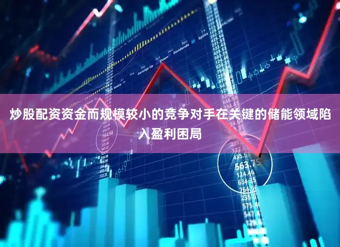 炒股配资资金而规模较小的竞争对手在关键的储能领域陷入盈利困局