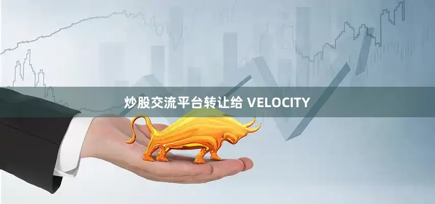 炒股交流平台转让给 VELOCITY