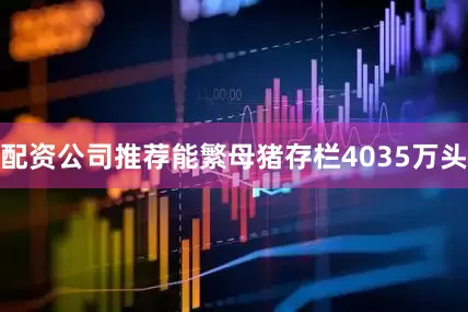 配资公司推荐能繁母猪存栏4035万头