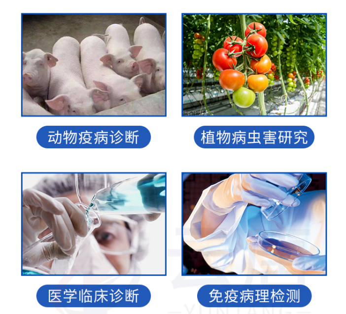 動(dòng)物疫病檢測(cè)儀的檢測(cè)范圍有哪些？