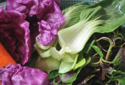 農(nóng)產(chǎn)品快速檢測(cè)設(shè)備