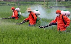 農(nóng)藥殘留檢測(cè)儀檢測(cè)速度快嗎？